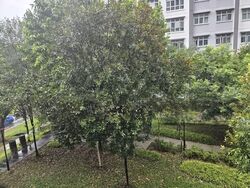 Blk 424C Orchid Spring @ Yishun (Yishun), HDB 4 Rooms #561653311